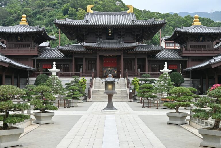 תרגול צ’יקונג בזום